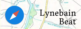 banner-lynebain-beat